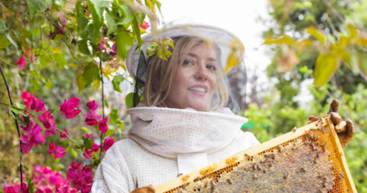 The Number Of Beekeepers Exist worldwide?