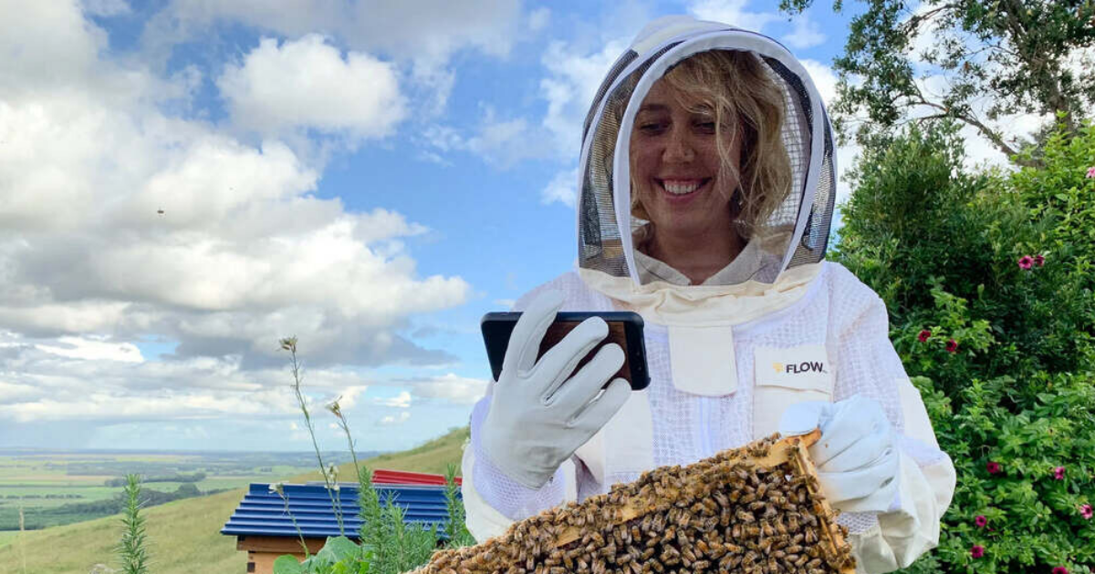 Beekeeper – Meaning of an Individual Who Keeps Honey Bees