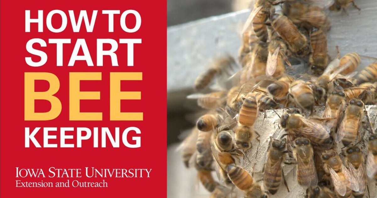 Things to Think About When You Want to Start Beekeeping